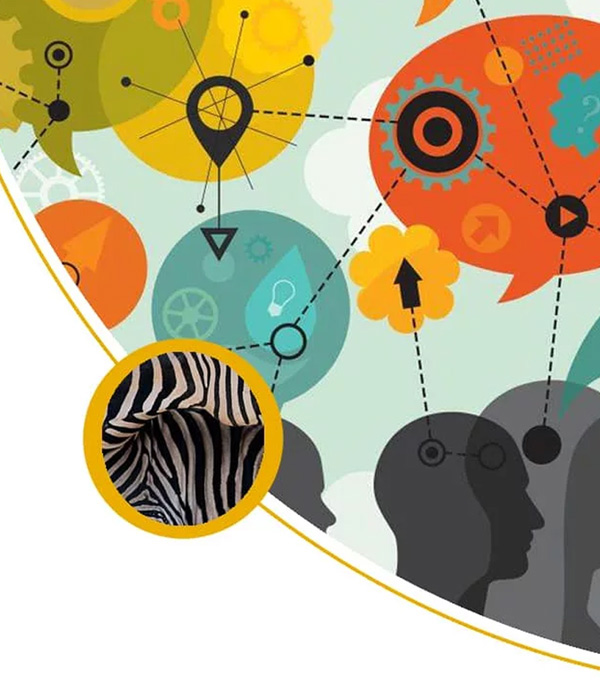 hpi bayonne anthropologia smart v3