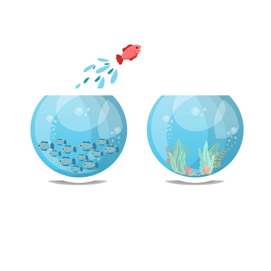 accompagnement hpi bayonne blog